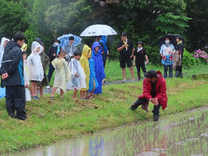Img_8230_2