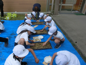 Photo_2 Photo_2
