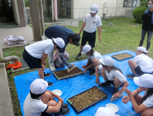 Photo_3 Photo_3