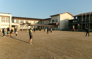 Photo_2
