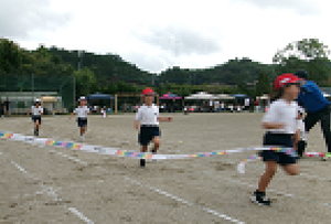 Photo_2 Photo_2